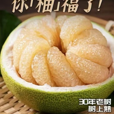 度尾红心文旦柚