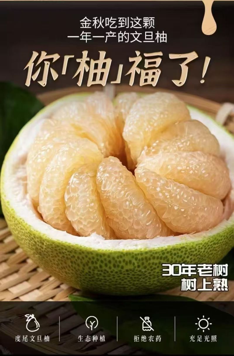 度尾红心文旦柚
