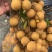 凤梨穗龙眼