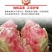 云南蒙自老树观颜甜石榴新鲜水果孕妇水果