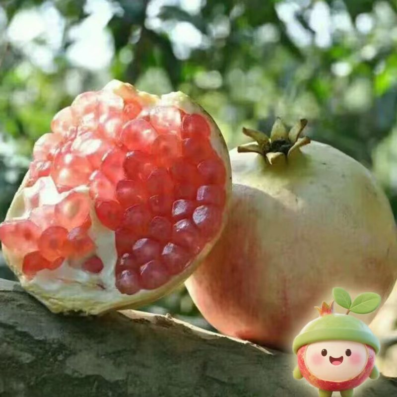 云南蒙自老树观颜甜石榴新鲜水果孕妇水果
