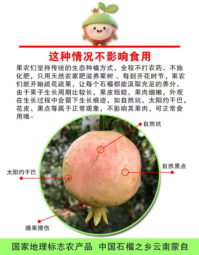 云南蒙自老树观颜甜石榴新鲜水果孕妇水果