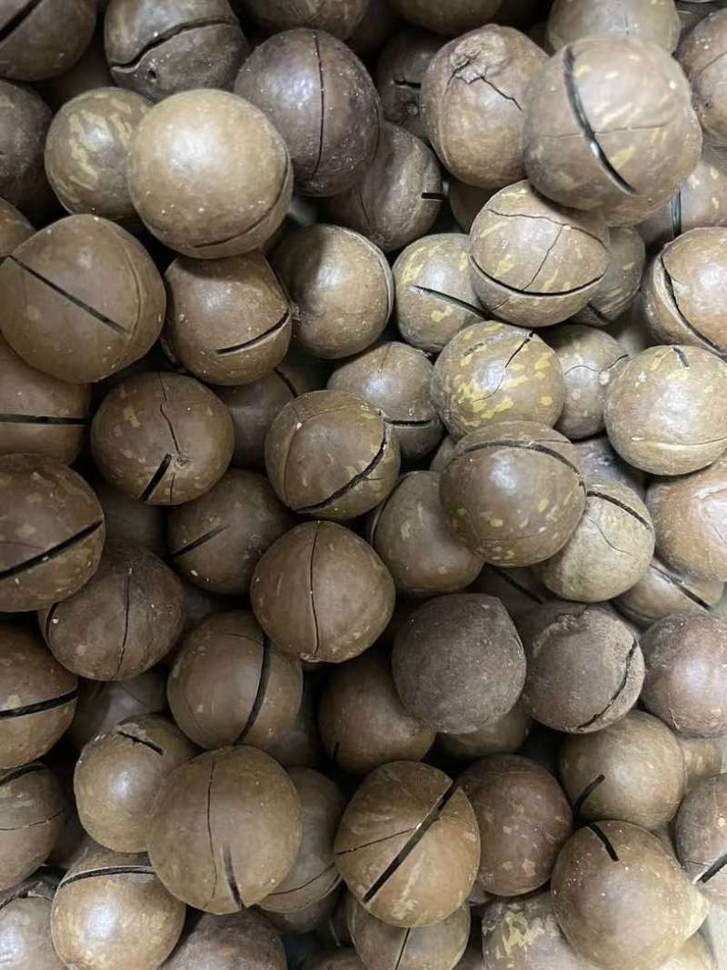 夏威夷果电商货价优