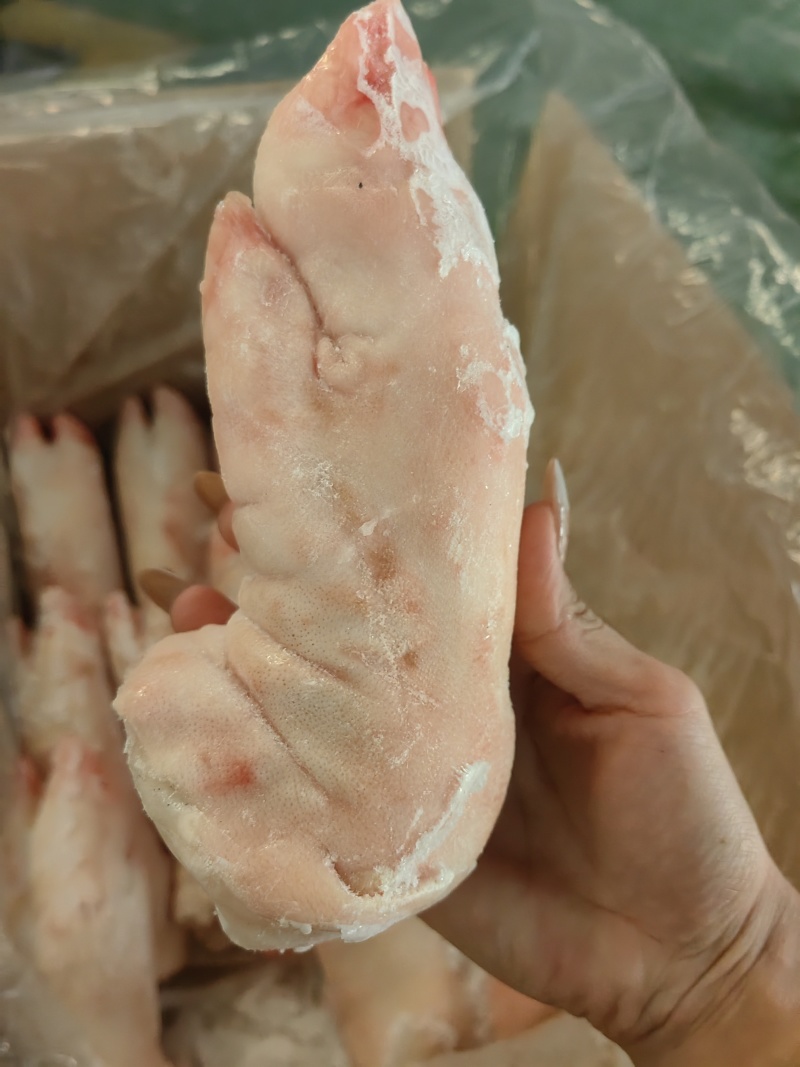 一级纯干猪蹄18—22个有需要的可以联系