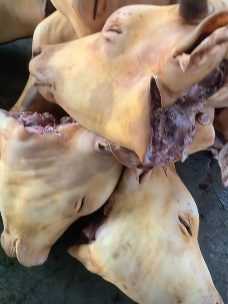 火烧牛头