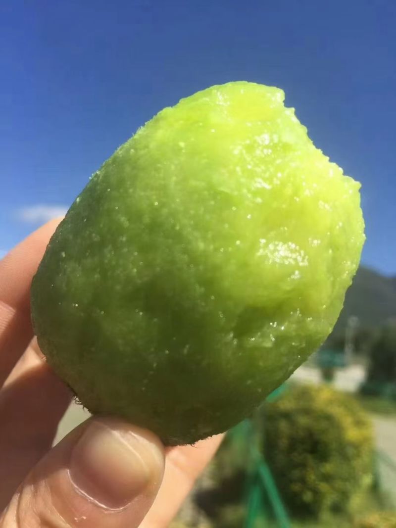 眉县徐香猕猴桃