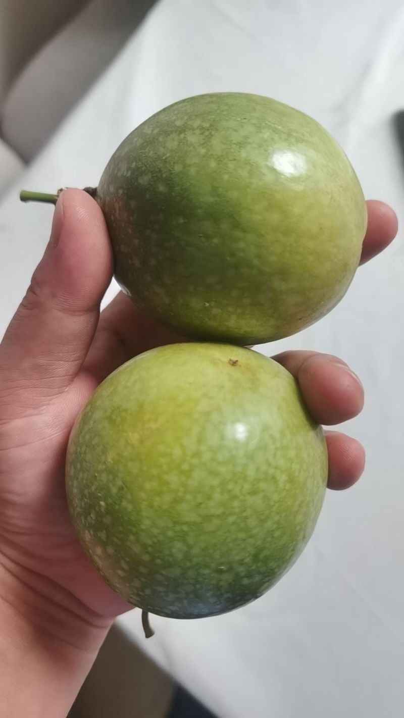 云南黄金百香果钦蜜9号