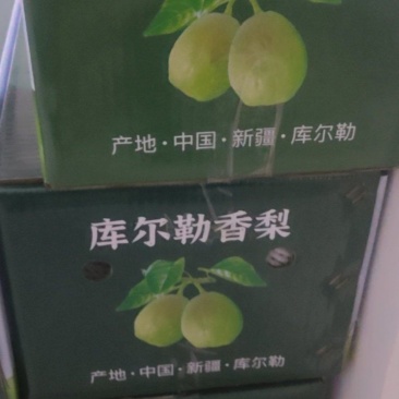 库尔勒香梨
