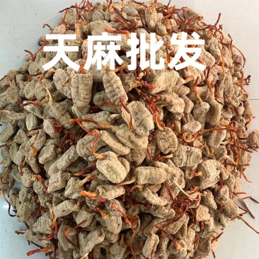 云南深山春天麻