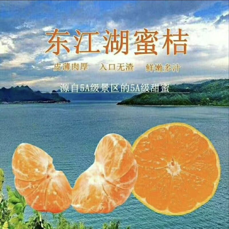 湖南东江湖蜜橘