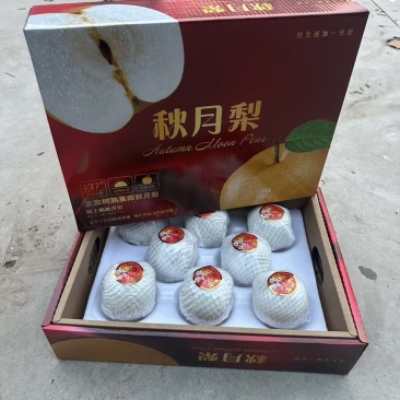 正宗秋月梨