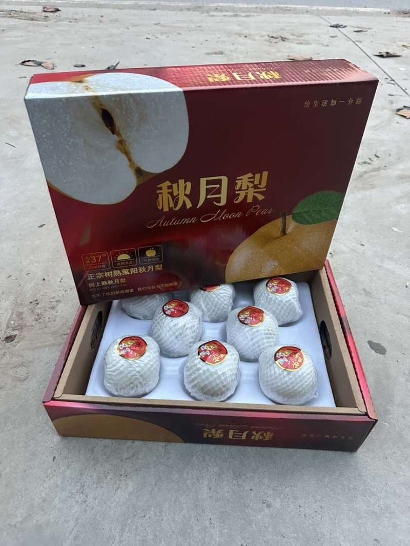 正宗秋月梨