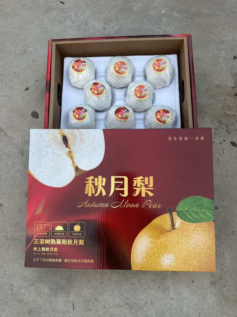 正宗秋月梨