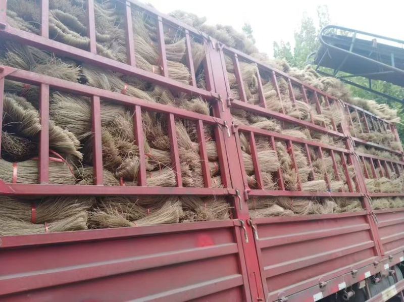 纯手工红薯粉条每天大量走货中，欢迎各位老板合作～