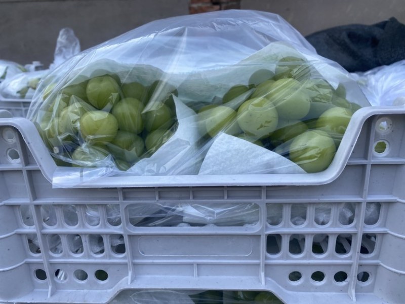 不管精品阳光玫瑰还是普通阳光玫瑰都有货自己家种植基地