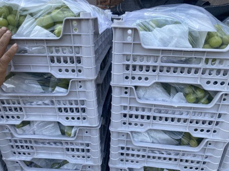 不管精品阳光玫瑰还是普通阳光玫瑰都有货自己家种植基地