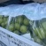 不管精品阳光玫瑰还是普通阳光玫瑰都有货自己家种植基地