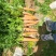 希森，沃土，红萝卜.
