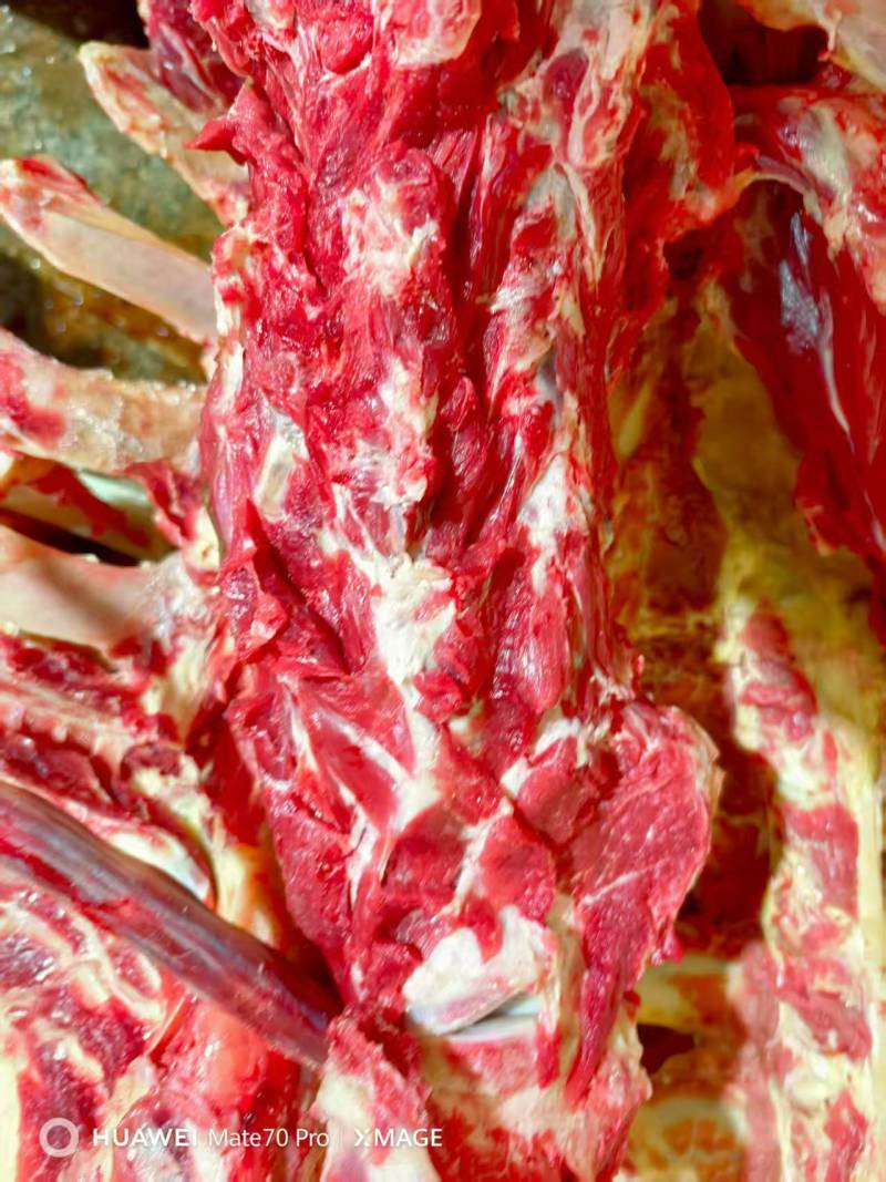 不带肉脊骨