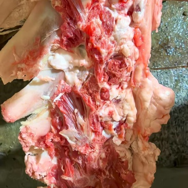 不带肉脊骨