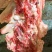 不带肉脊骨