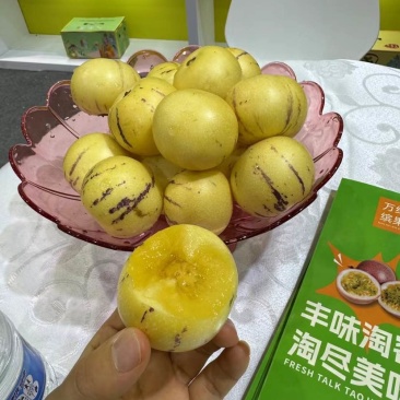 云南石林人参果电商供应链
