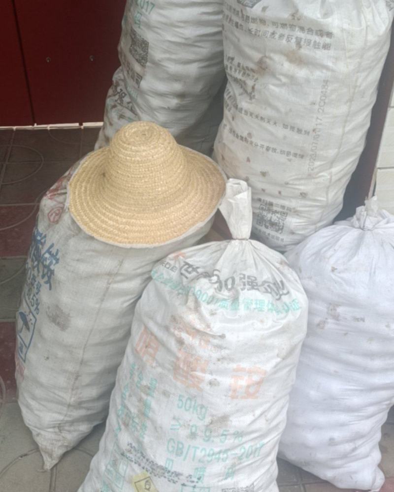 新鲜青皮核桃