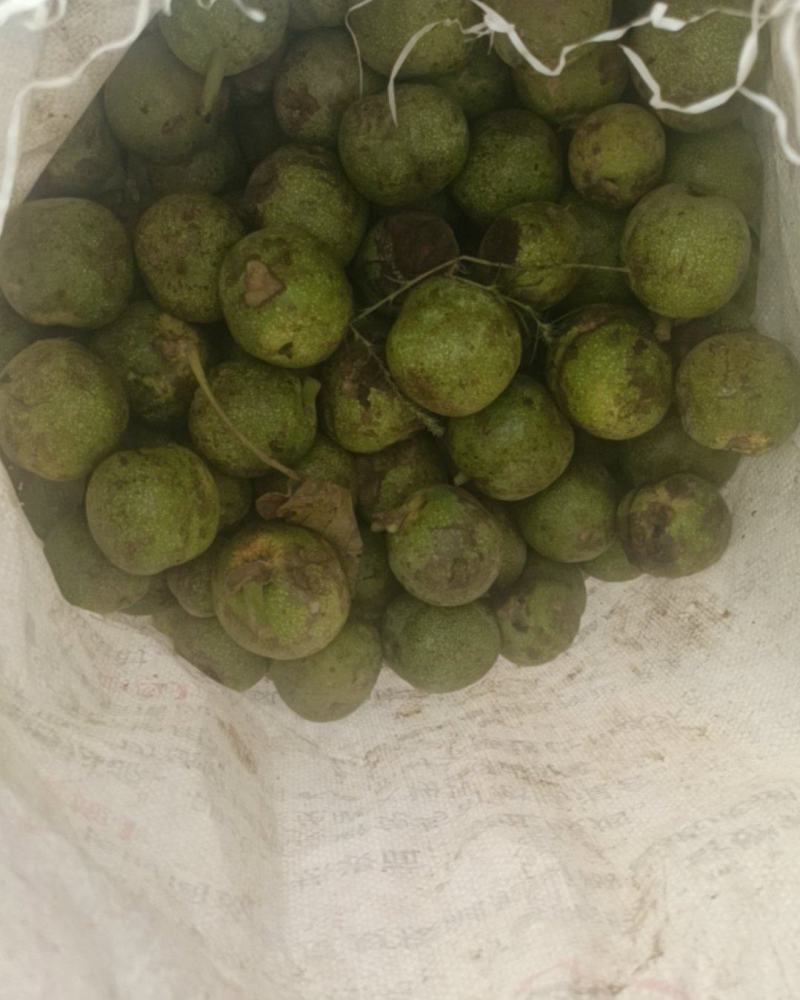 新鲜青皮核桃