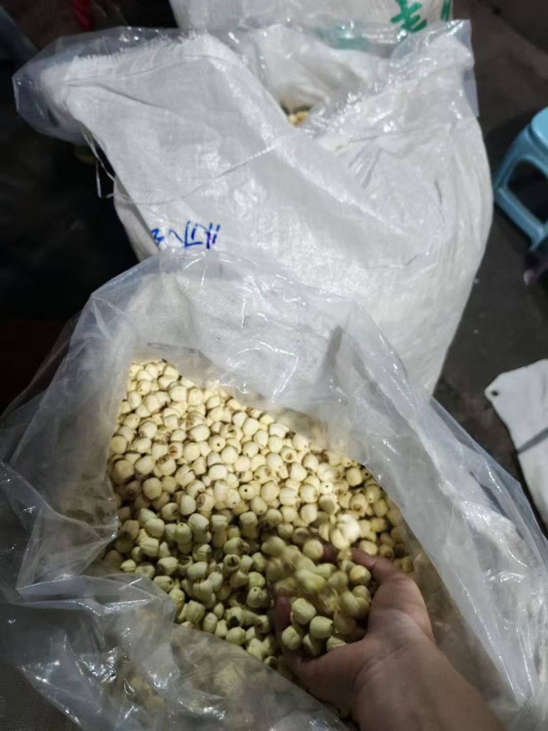 江西赣南特产，白莲
