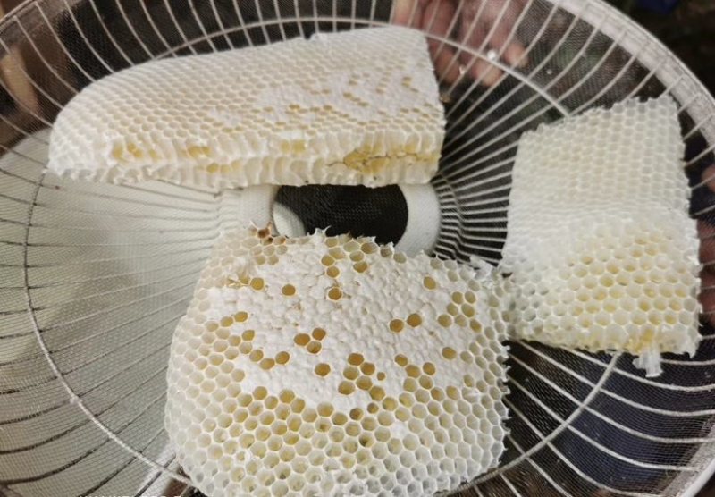 土蜂蜜