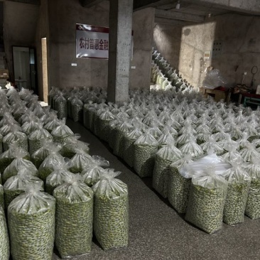 精品青橄榄