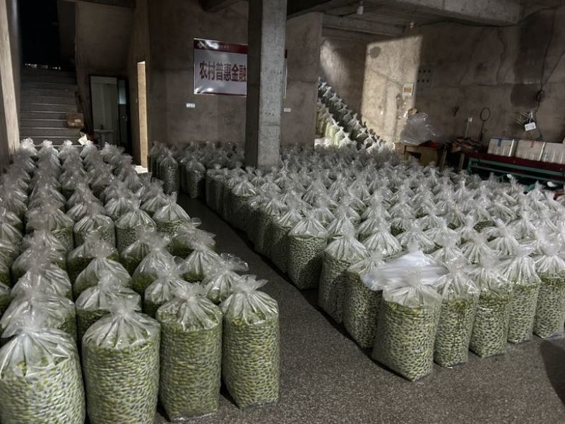 精品青橄榄