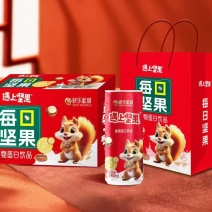 每日坚果植物蛋白饮品16罐24厂家直发