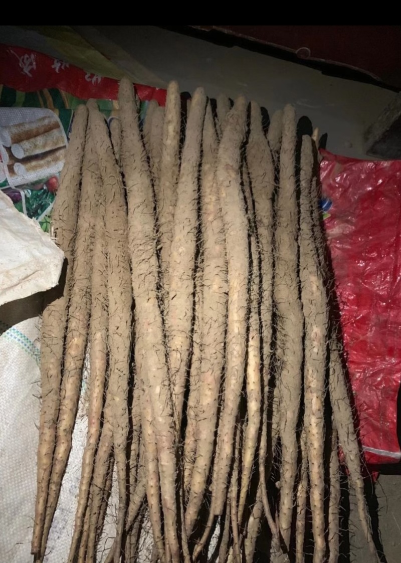 白玉山药