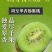 陕西省周至翠香猕猴桃