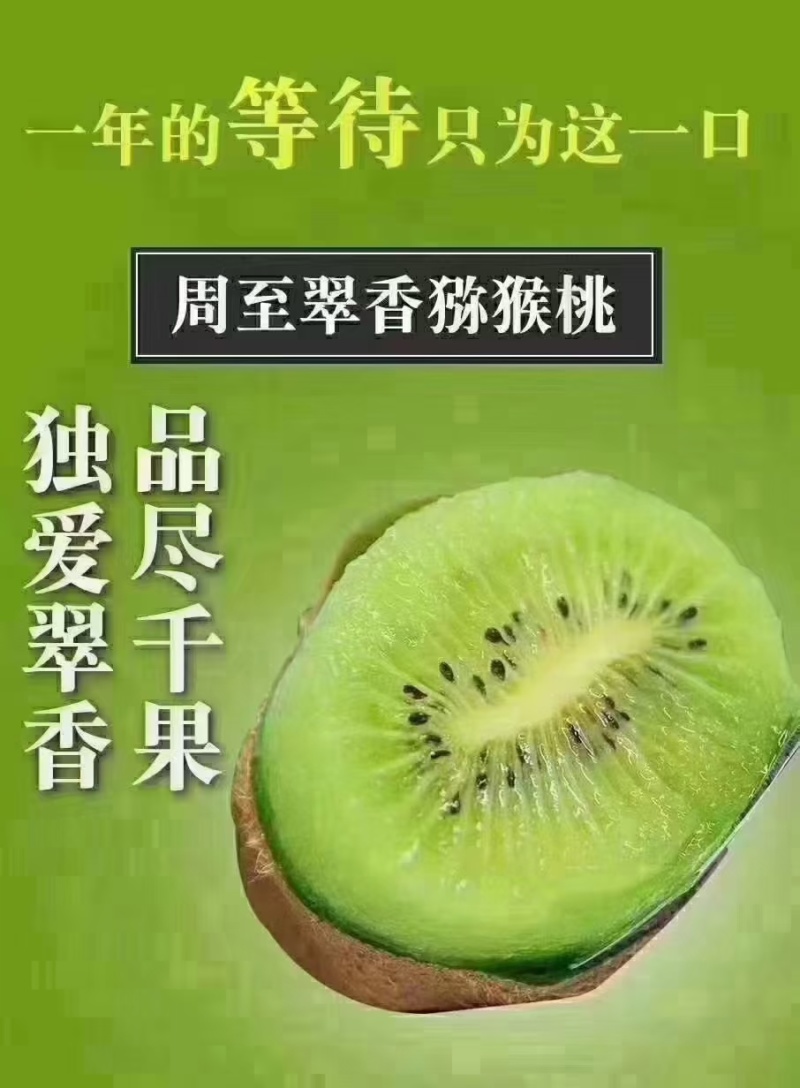 陕西省周至翠香猕猴桃