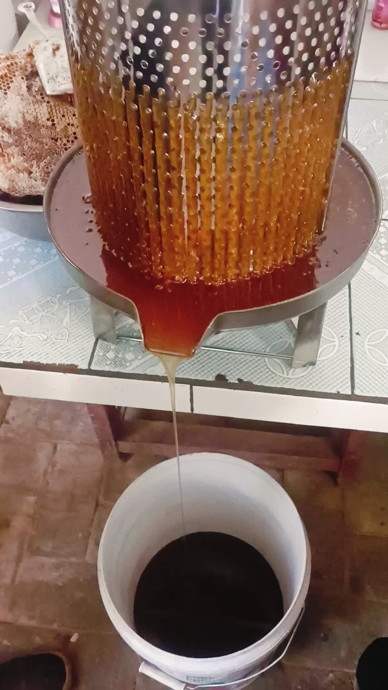 土蜂蜜