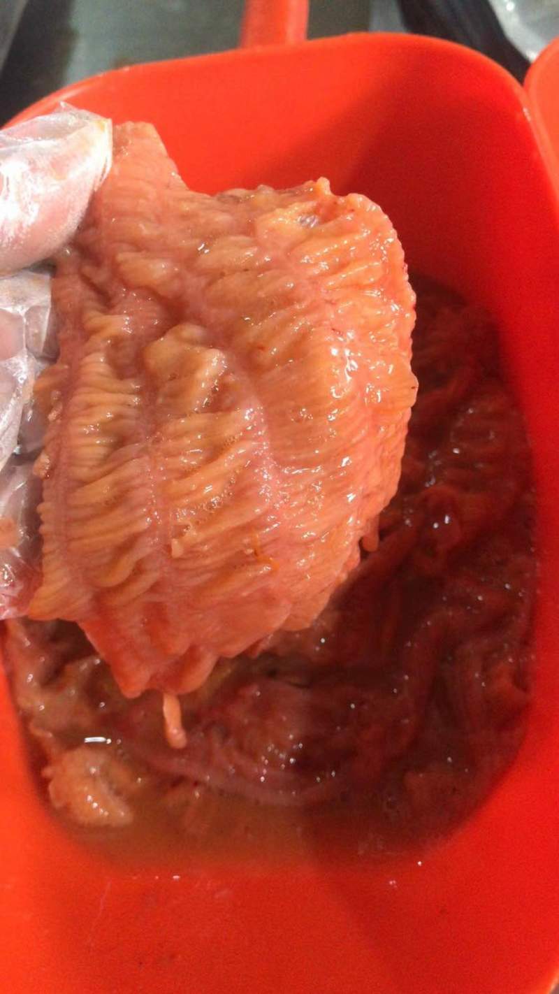 速冻海参筋（珊瑚蚌）食用方法：可日料、涮货、爆炒