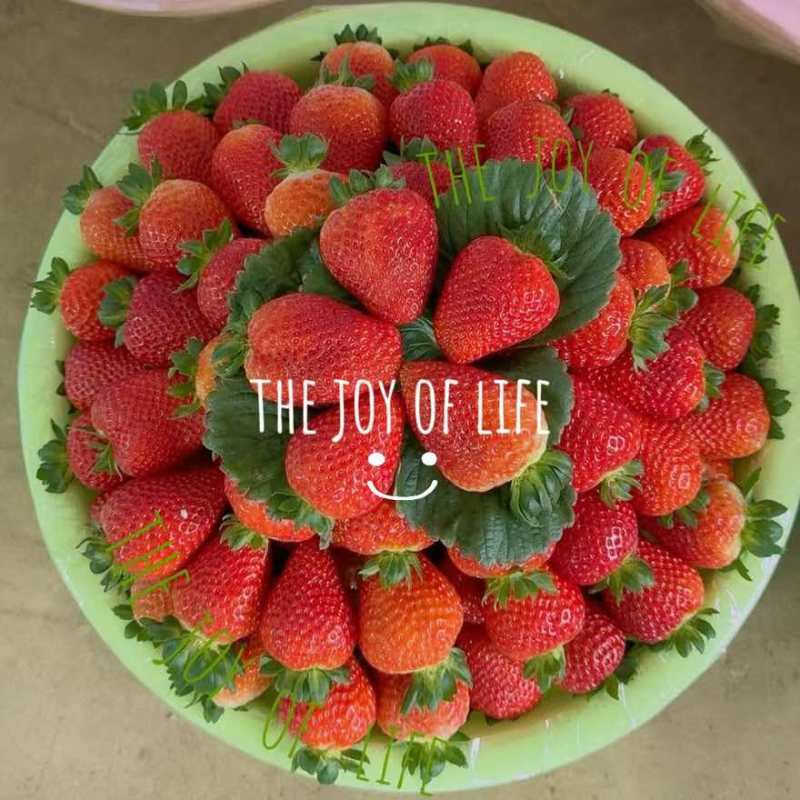 草莓🍓酸甜可口有货下单👌