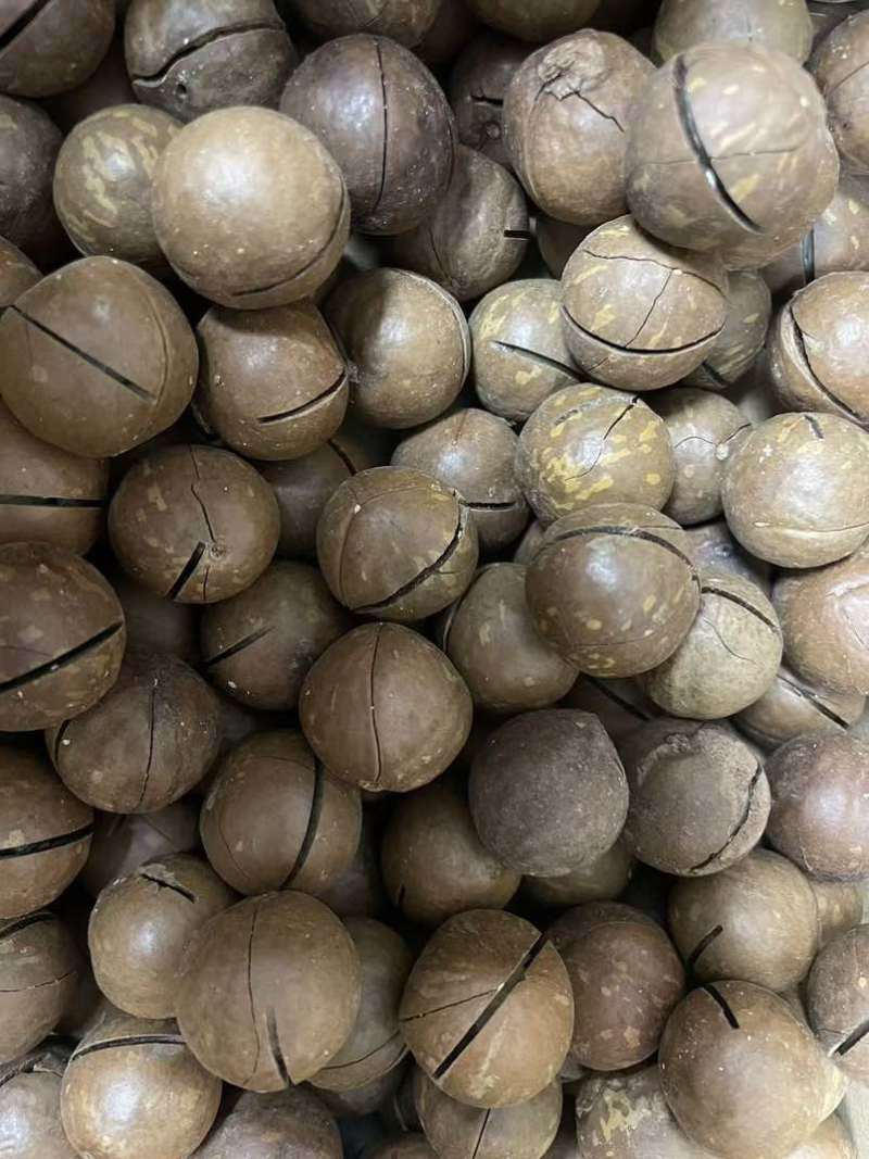 夏威夷果电商货、各种规格、支持代发