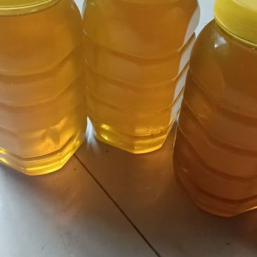 正宗农村土蜂蜜，药蜂蜜。