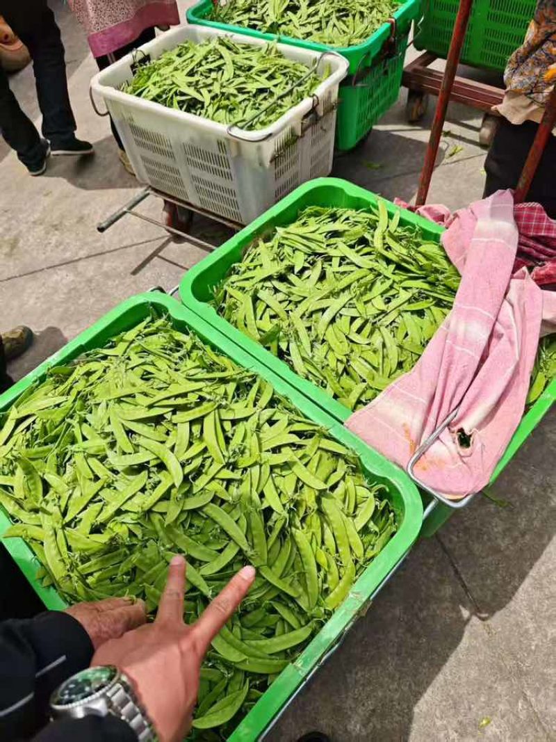 最近降价一级货源各种品质全年供应