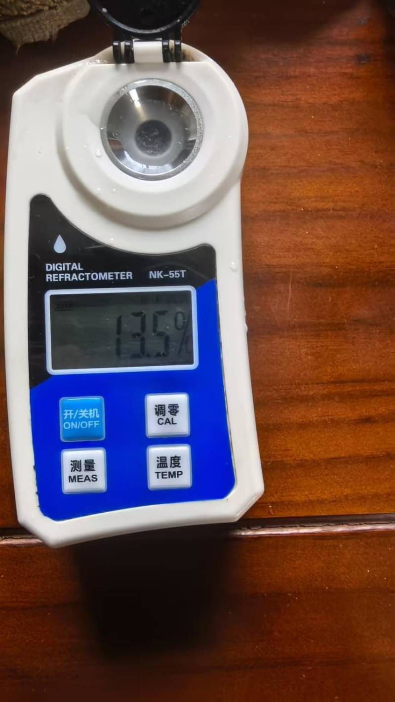 秋月梨产地大量现货，欢迎各大国商前来合作