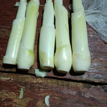 茭白