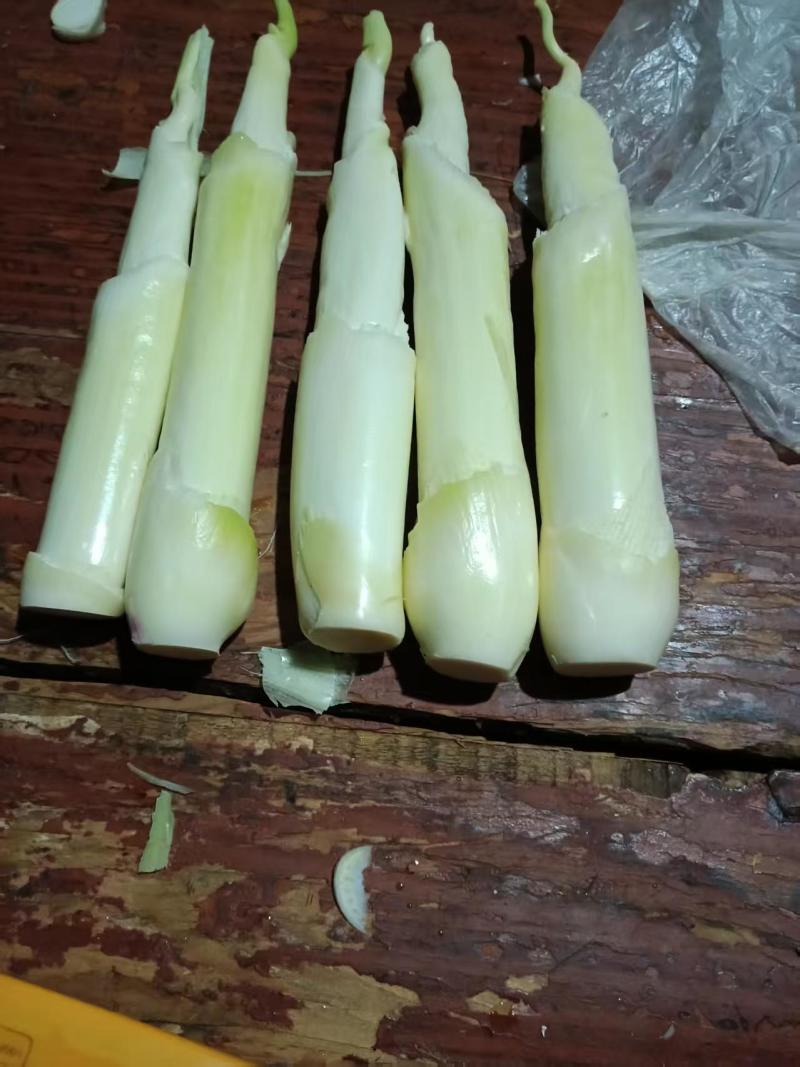 茭白