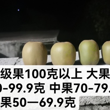 红心猕猴桃