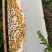 高山土蜂蜜