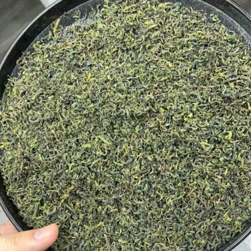 白茶香茶