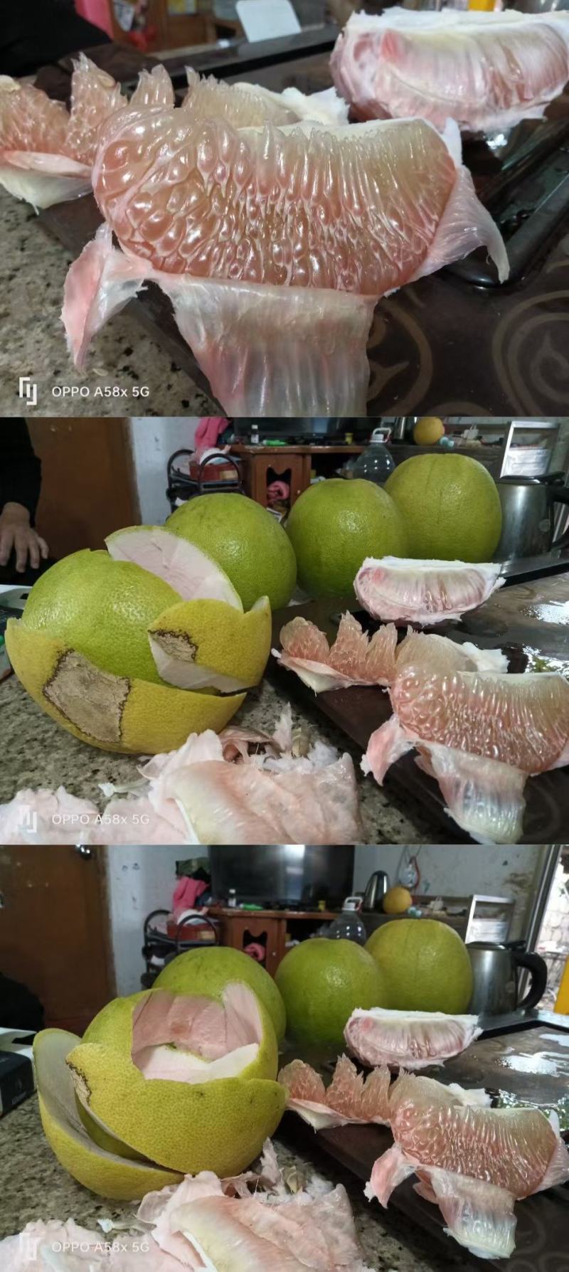 西施柚
