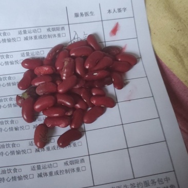 红芸豆